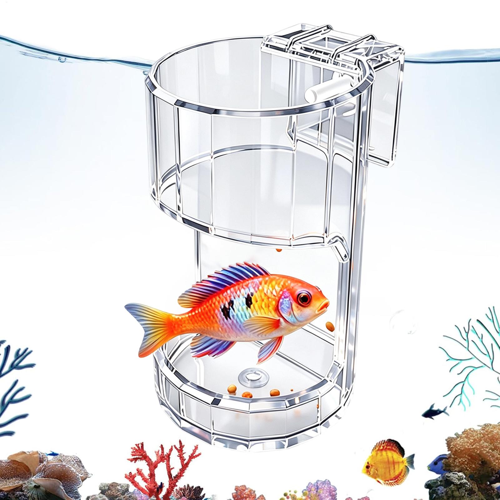 Aquarium Fish Holiday Food - Aquarium Feeding Dish Transparent Food Bowl