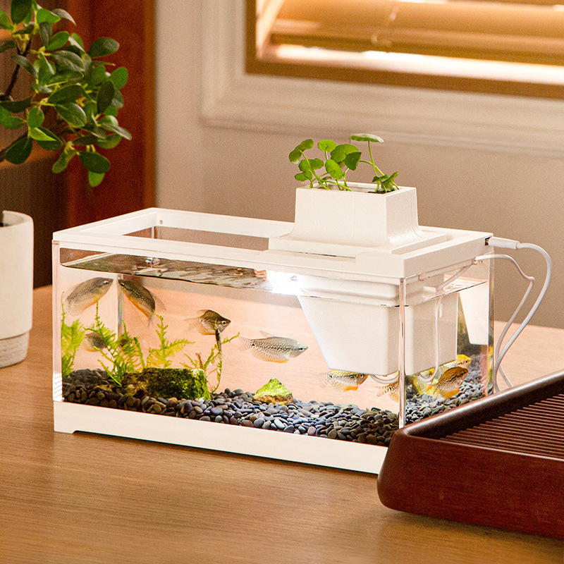 Aquarium Fish In Bowl - Fish Tank Aquarium Kits with Water