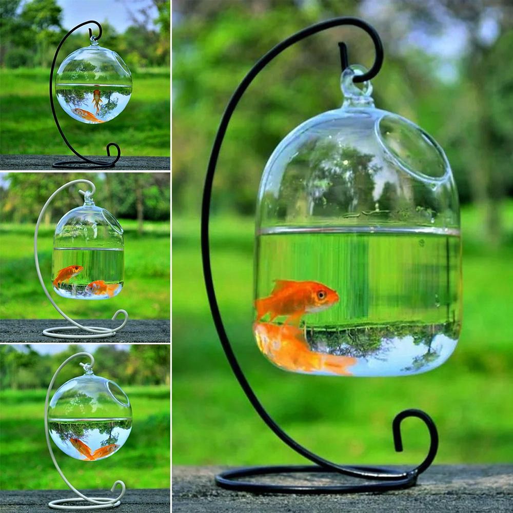 Aquarium Fish Background - Aquarium Decoration Wall Hanging With Rack