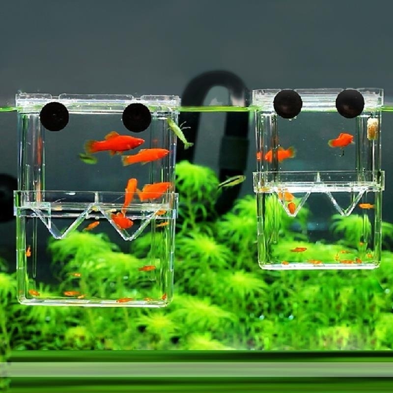 Aquarium Fish Background - Multifunctional Fish Aquarium High Clear Fish