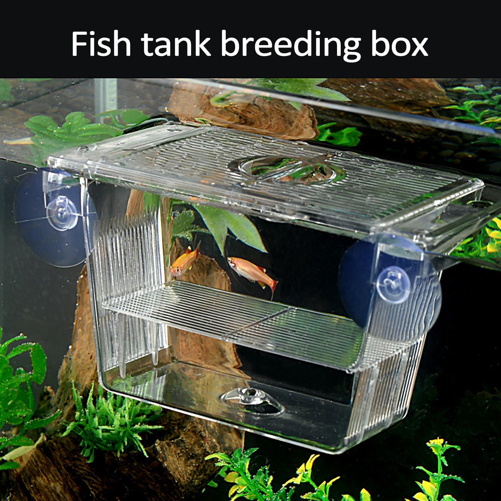 Aquarium Fish In Bowl - Breeder Box for Fish Tank Transparent