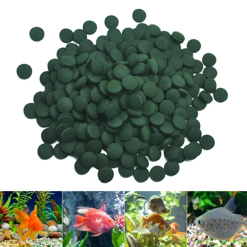 100-3000pc High Purity Spiruli - огляд і ціна Aquarium Fish Holiday Food