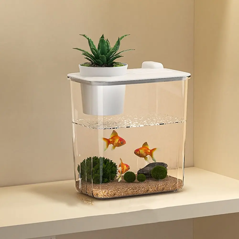 Aquarium Desktop Fish Tank Wat - огляд і ціна Aquarium Fish In Bowl