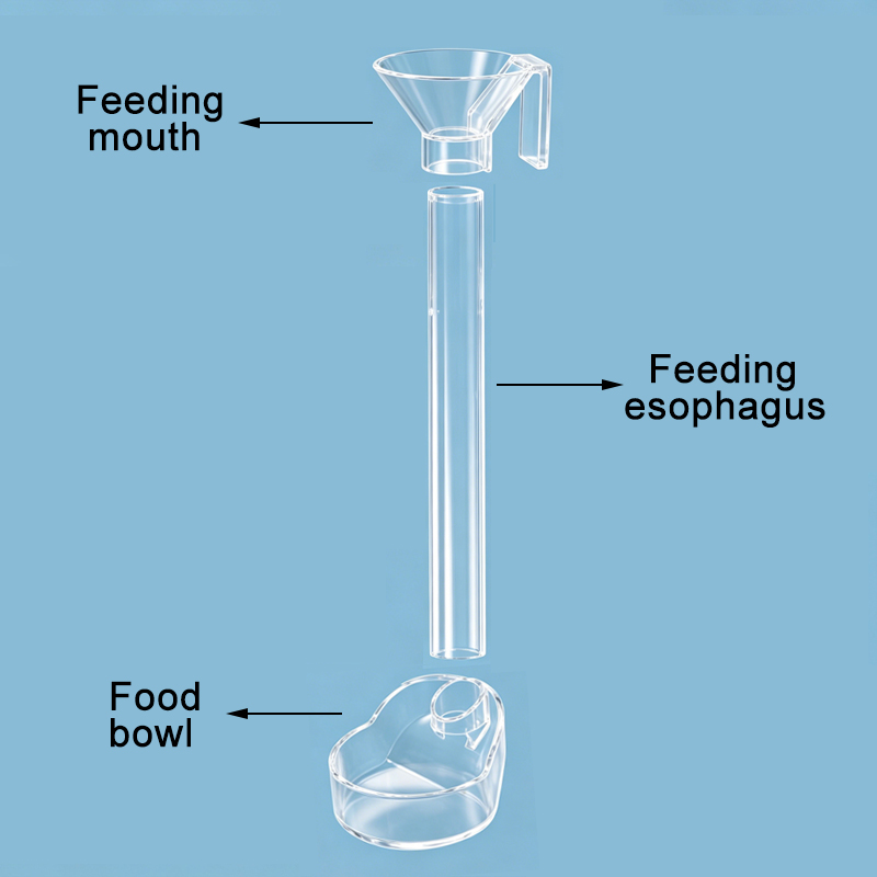 Acrylic Aquarium Fish Feeder T - огляд і ціна Aquarium Fish Holiday Food