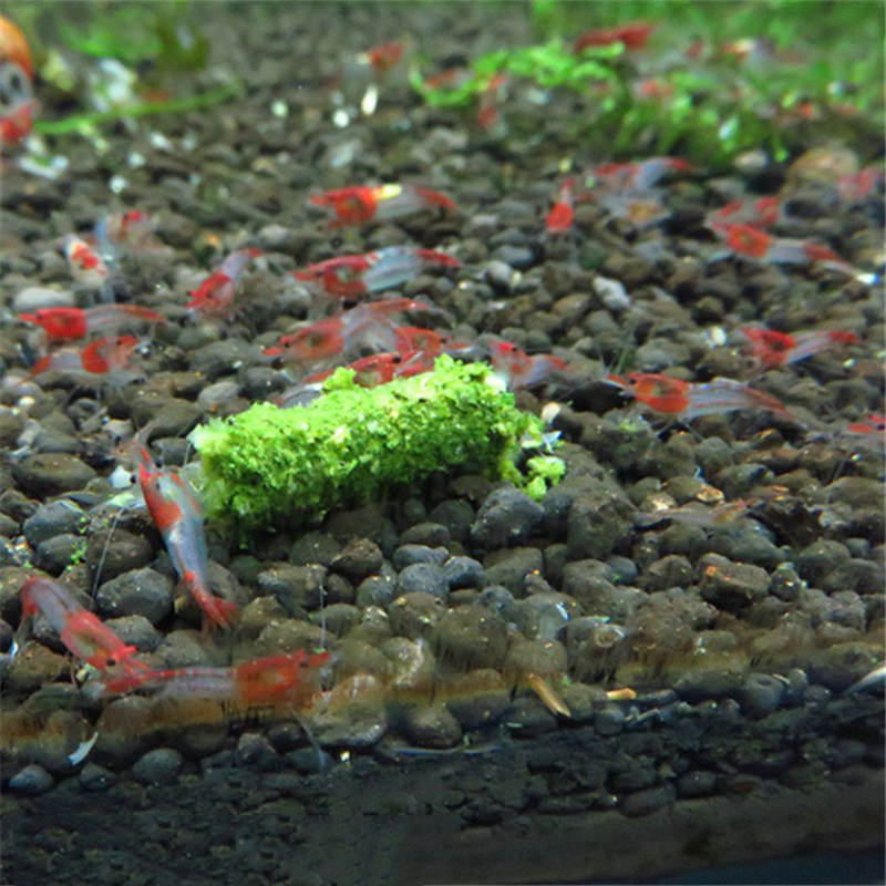 New 1 Bag 35g Crystal Red Shri - огляд і ціна Aquarium Fish Holiday Food