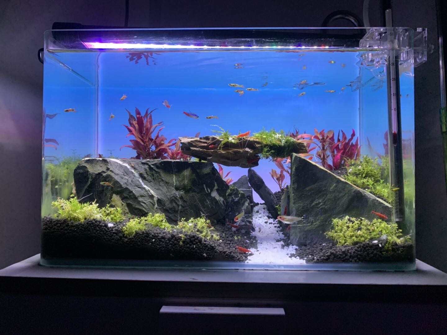 RGB Color Changing Aquarium Li - огляд і ціна Aquarium Fish Background