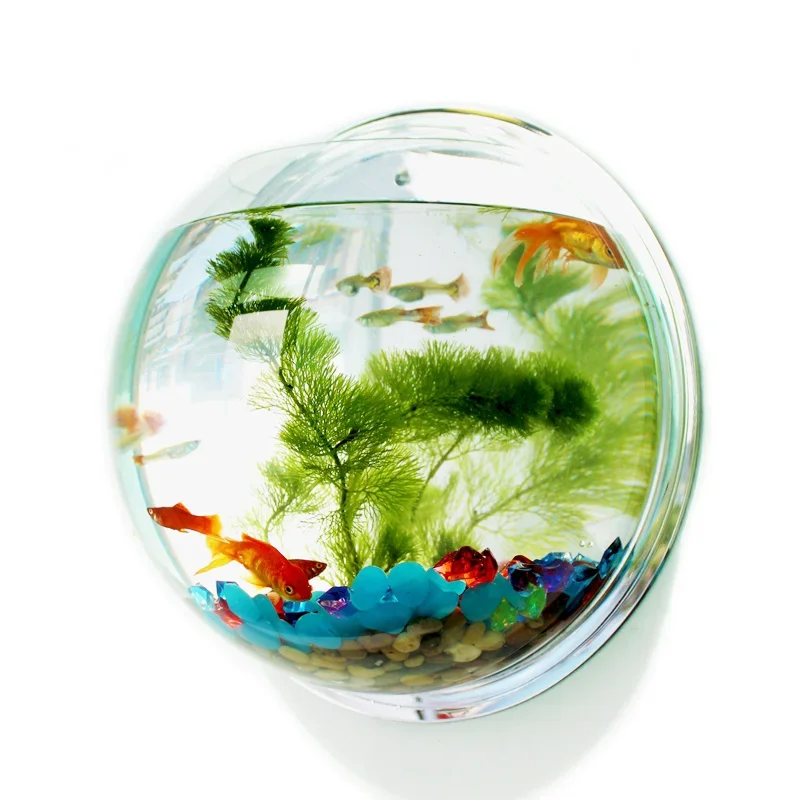 Pinsjar Acrylic Fish Bowl Wall - огляд і ціна Aquarium Fish Background