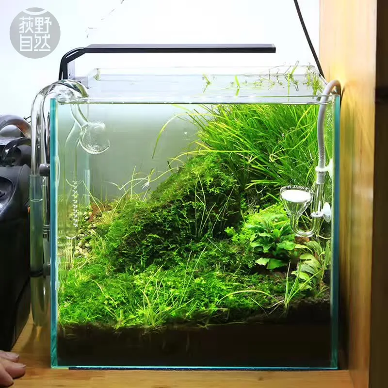 Chihiros C Series ADA Style Pl - огляд і ціна Aquarium Fish Background