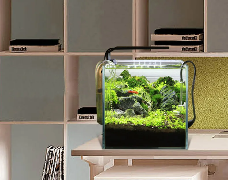 Chihiros C Series ADA Style Pl - огляд і ціна Aquarium Fish Background