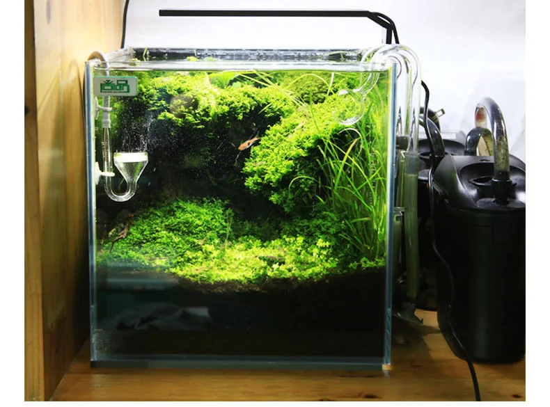 Chihiros C Series ADA Style Pl - огляд і ціна Aquarium Fish Background