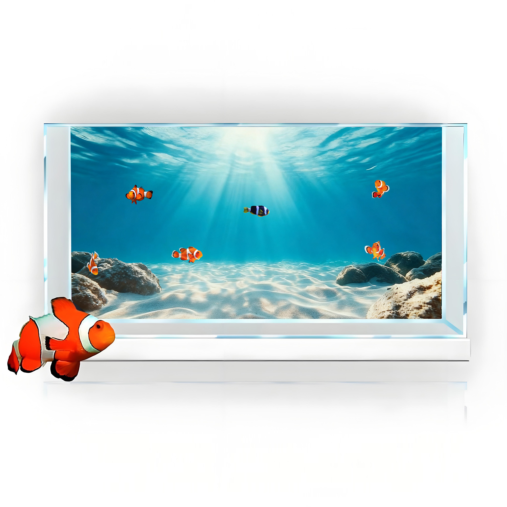 Blue Sea Clear Sand, Fish Tank - огляд і ціна Aquarium Fish Background