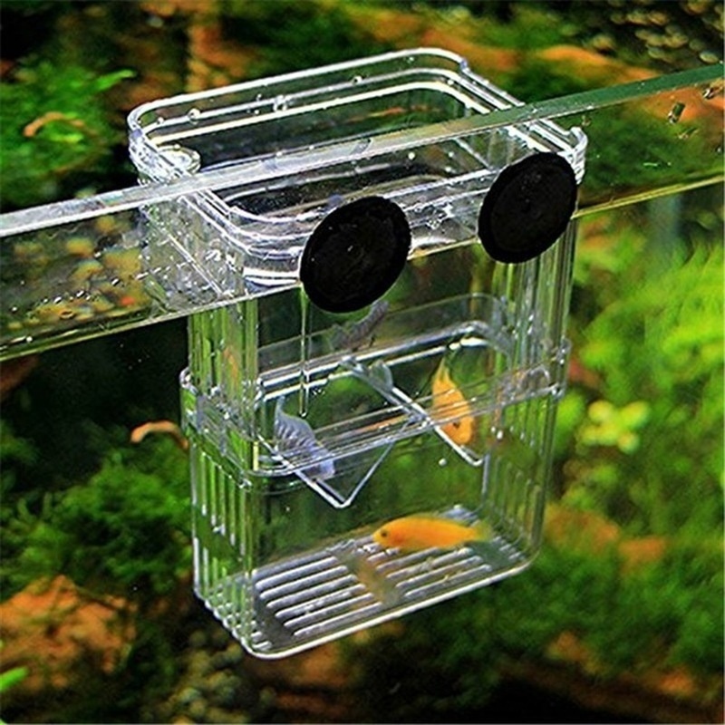 Multifunctional Fish Aquarium  - огляд і ціна Aquarium Fish Background