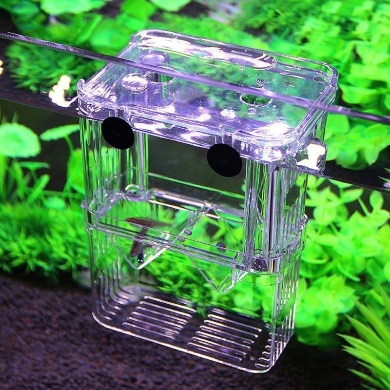 Multifunctional Fish Aquarium  - огляд і ціна Aquarium Fish Background