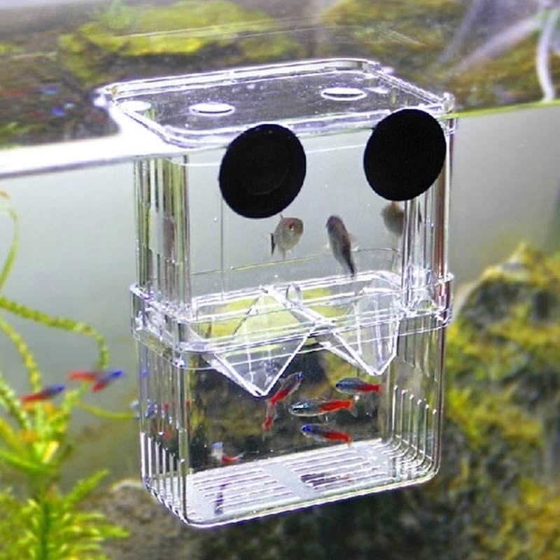 Multifunctional Fish Aquarium  - огляд і ціна Aquarium Fish Background