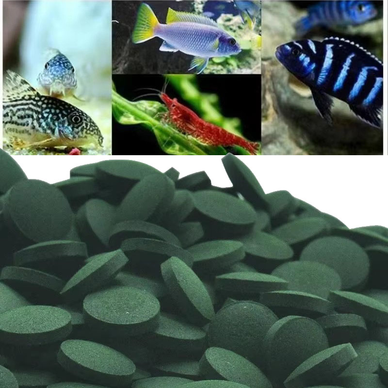 50/100/300/500pcs Spirulina Ta - огляд і ціна Aquarium Fish Holiday Food
