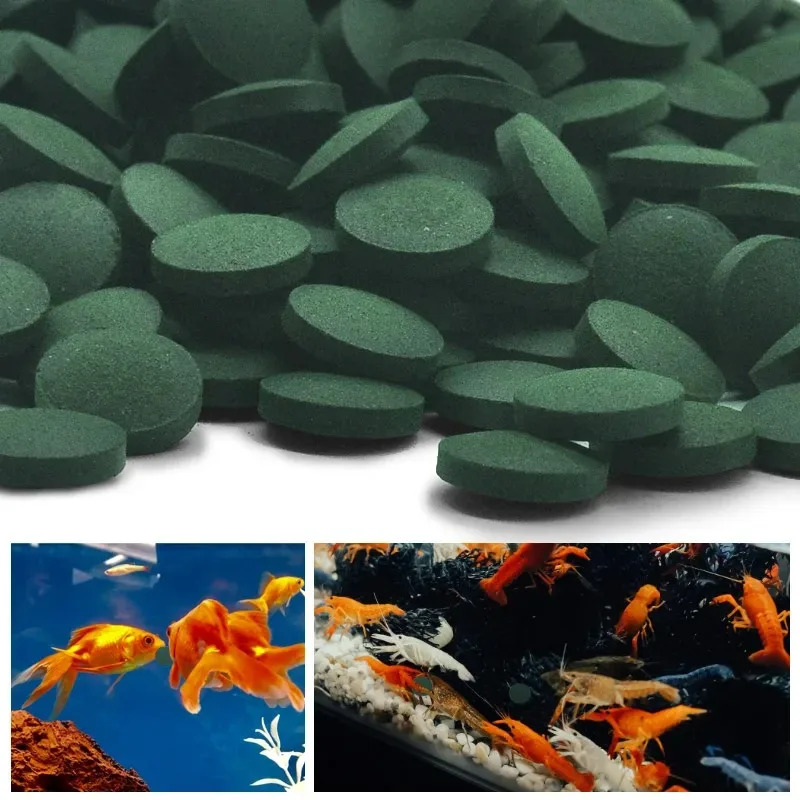 50/100/300/500pcs Spirulina Ta - огляд і ціна Aquarium Fish Holiday Food