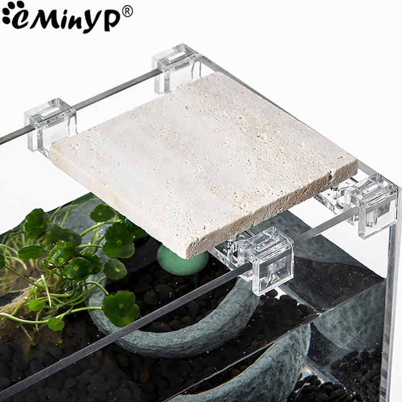 4Pcs Fish Tank Acrylic Clips f - огляд і ціна Aquarium Fish Background