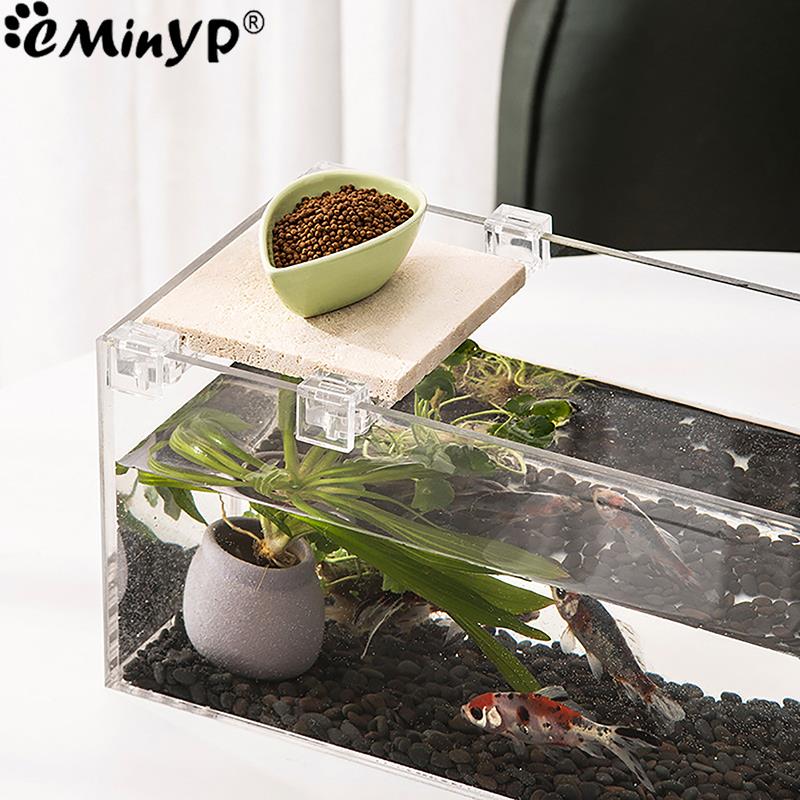 4Pcs Fish Tank Acrylic Clips f - огляд і ціна Aquarium Fish Background