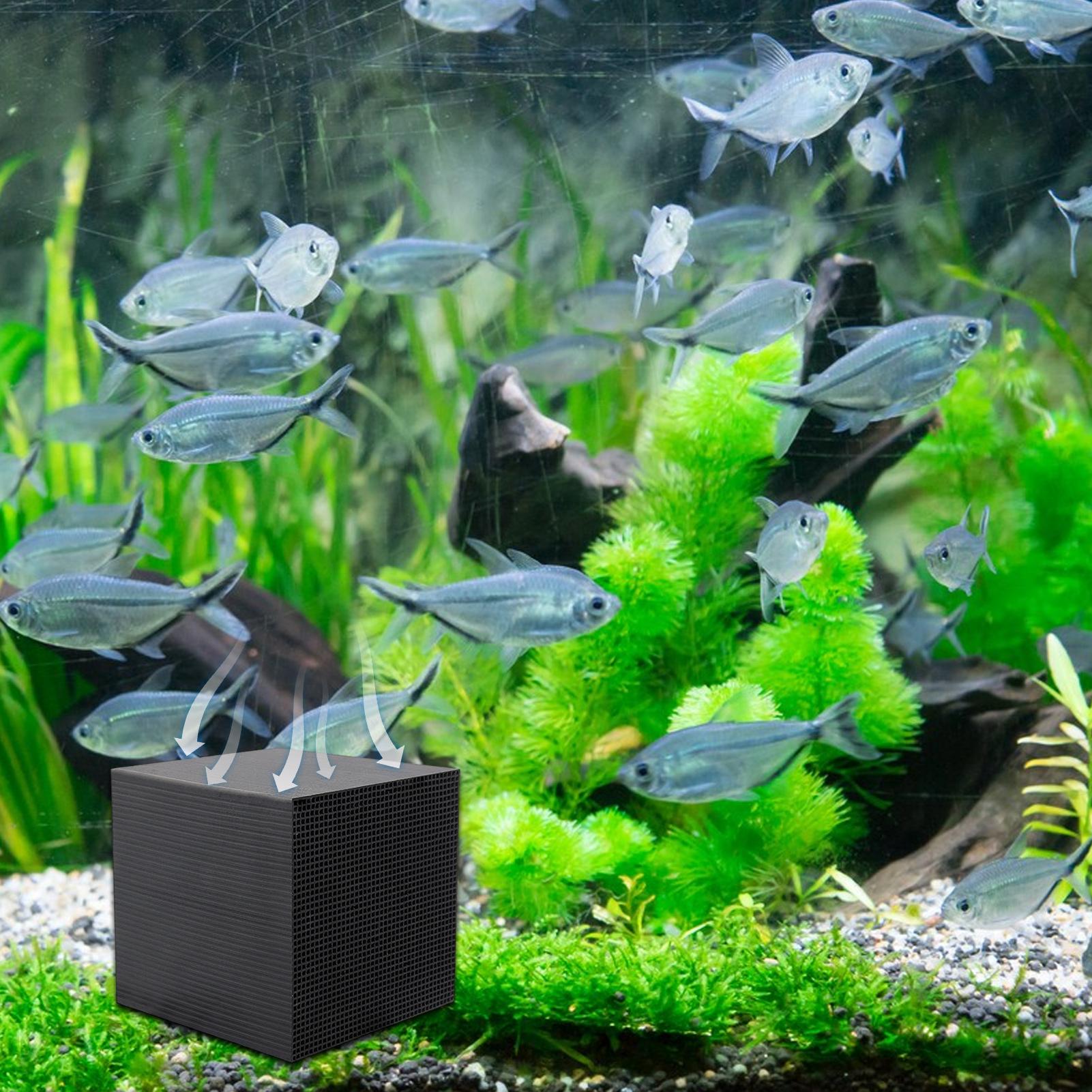 Aquarium Water Purifier Cube W - огляд і ціна Aquarium Fish Background