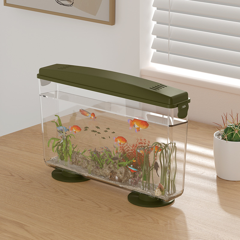 Small Fish Shrimps Turtle Tank - огляд і ціна Aquarium Fish In Bowl