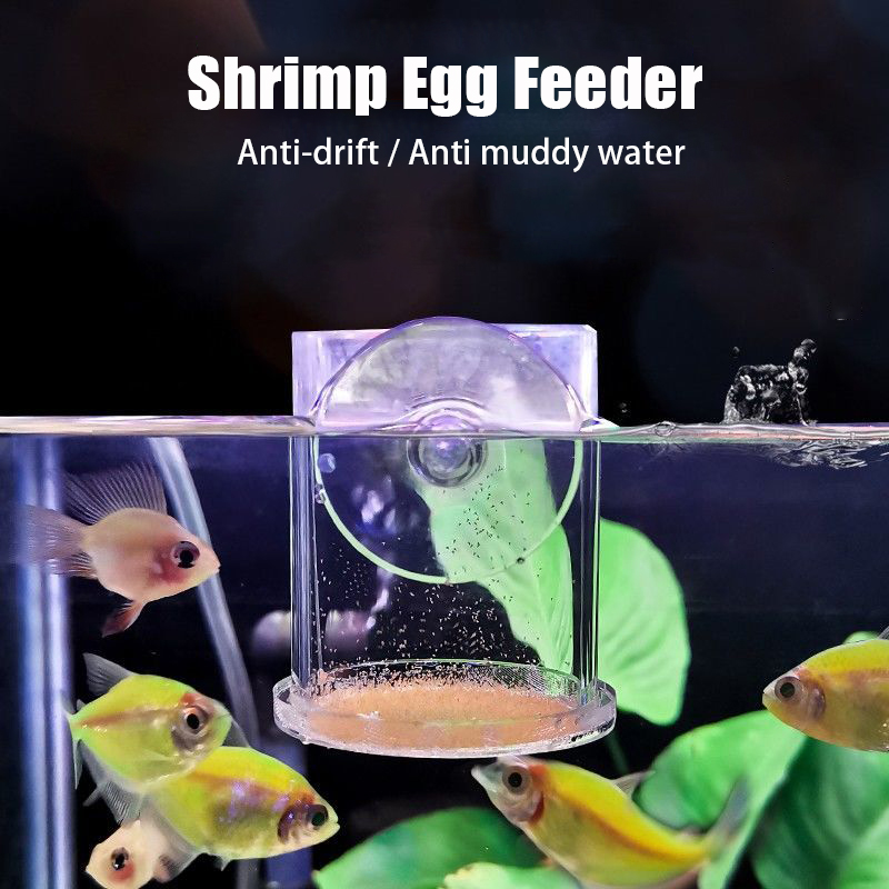 Transparent Arcylic Aquarium F - огляд і ціна Aquarium Fish Holiday Food