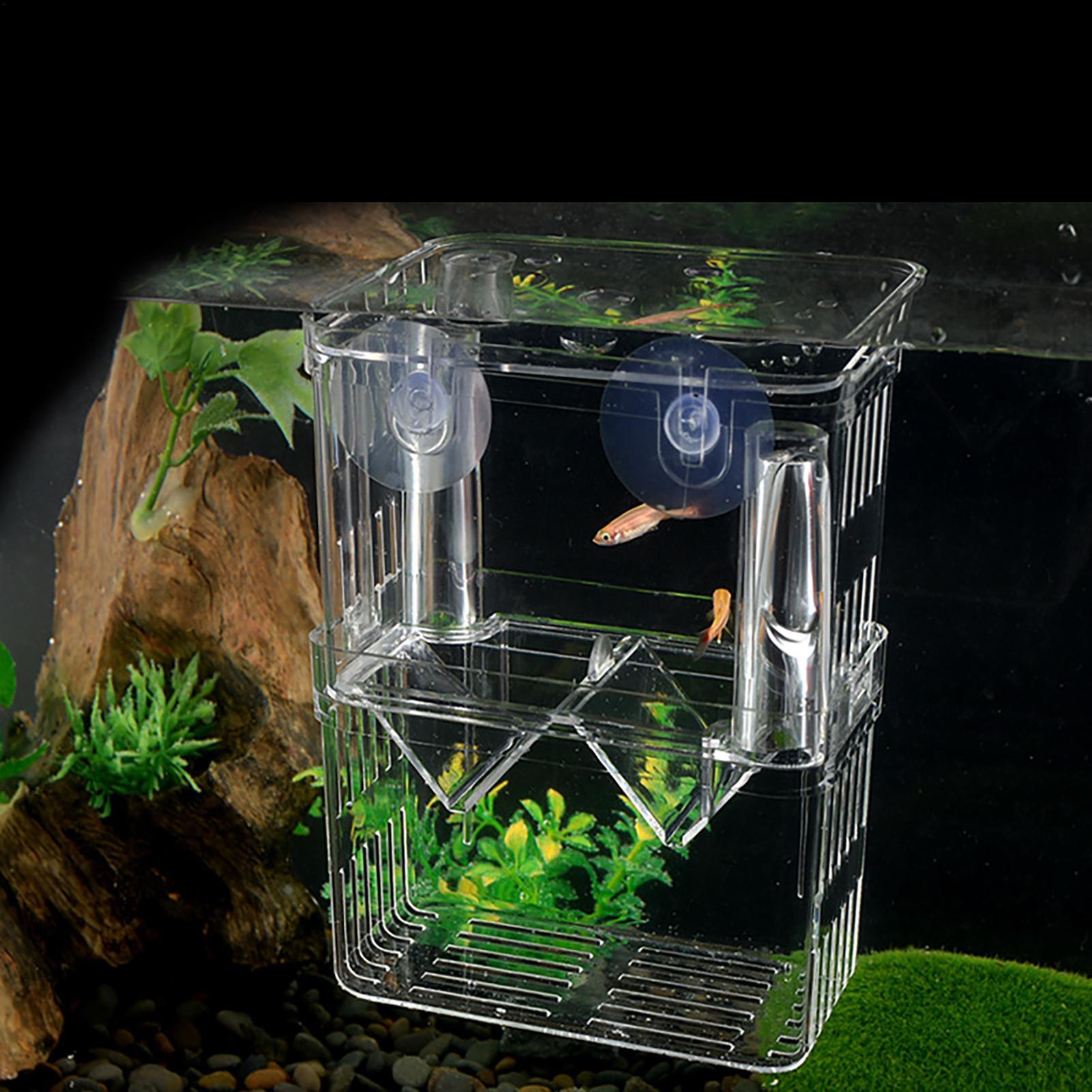 Breeder Box for Fish Tank Tran - огляд і ціна Aquarium Fish In Bowl