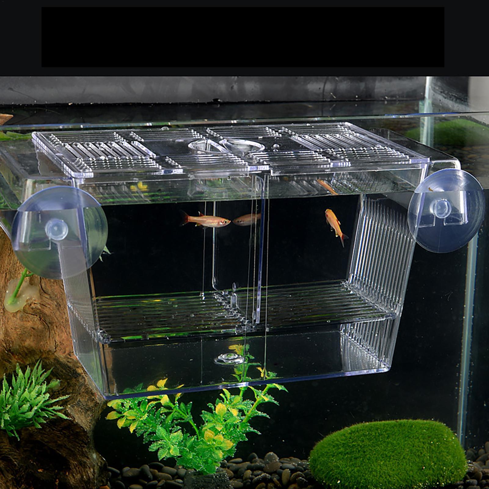 Breeder Box for Fish Tank Tran - огляд і ціна Aquarium Fish In Bowl