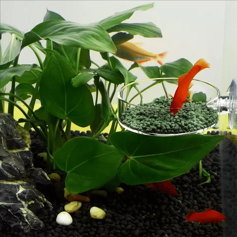 Transparent Acrylic Transparen - огляд і ціна Aquarium Fish Holiday Food